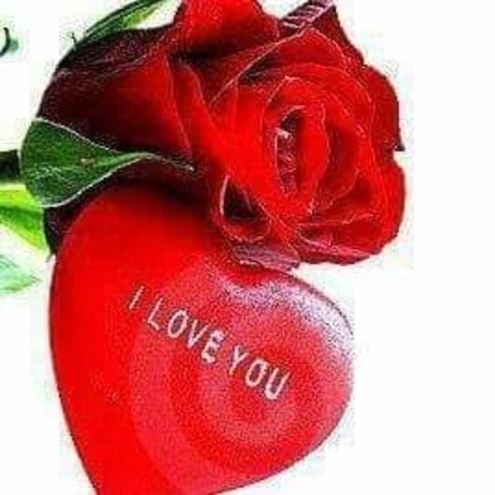 Meet your Posher, Wilda